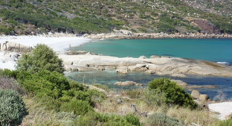 Sandy Bay Nudist Beach Cape Town